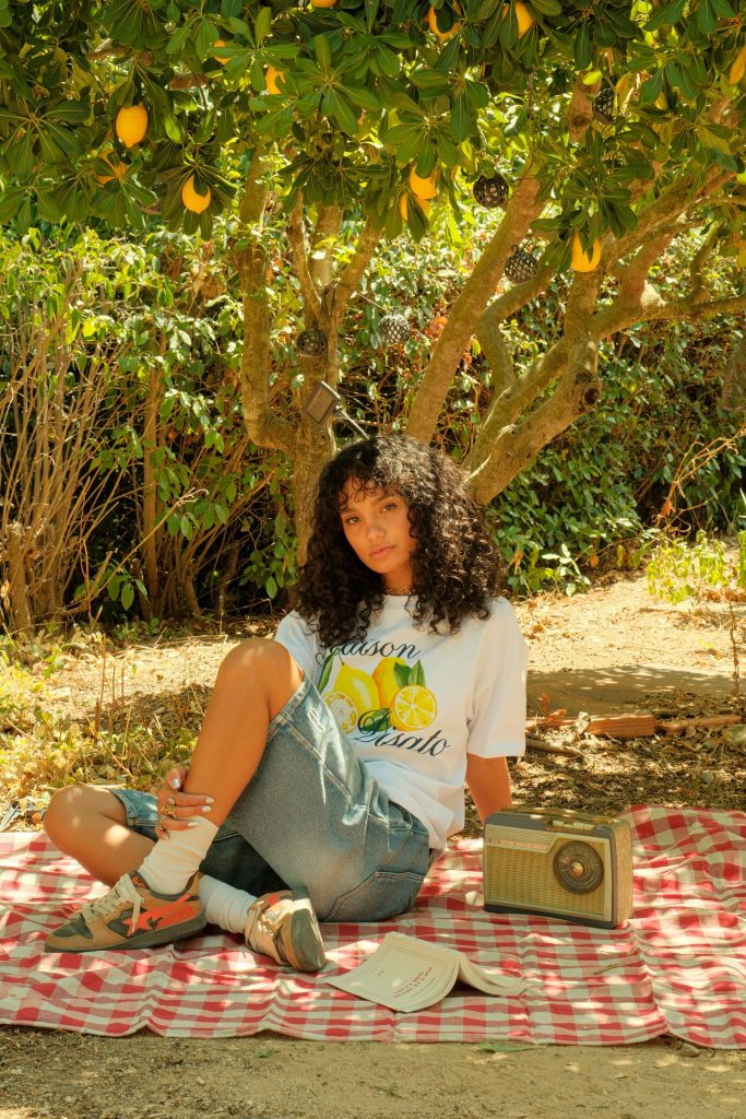 mozaiik maison disato photo