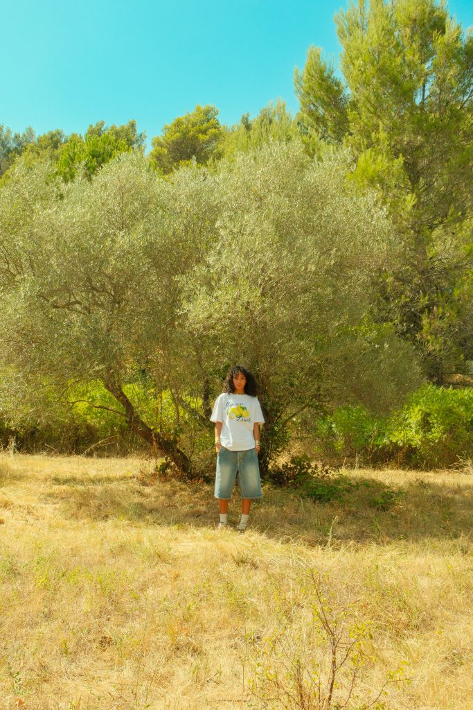 mozaiik maison disato photo