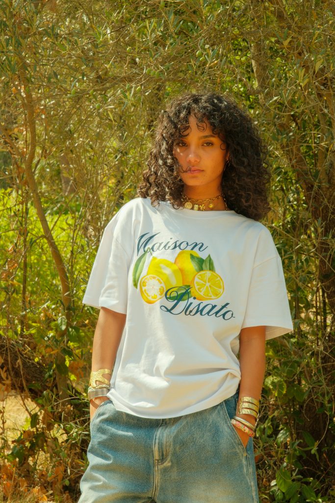 mozaiik maison disato photo