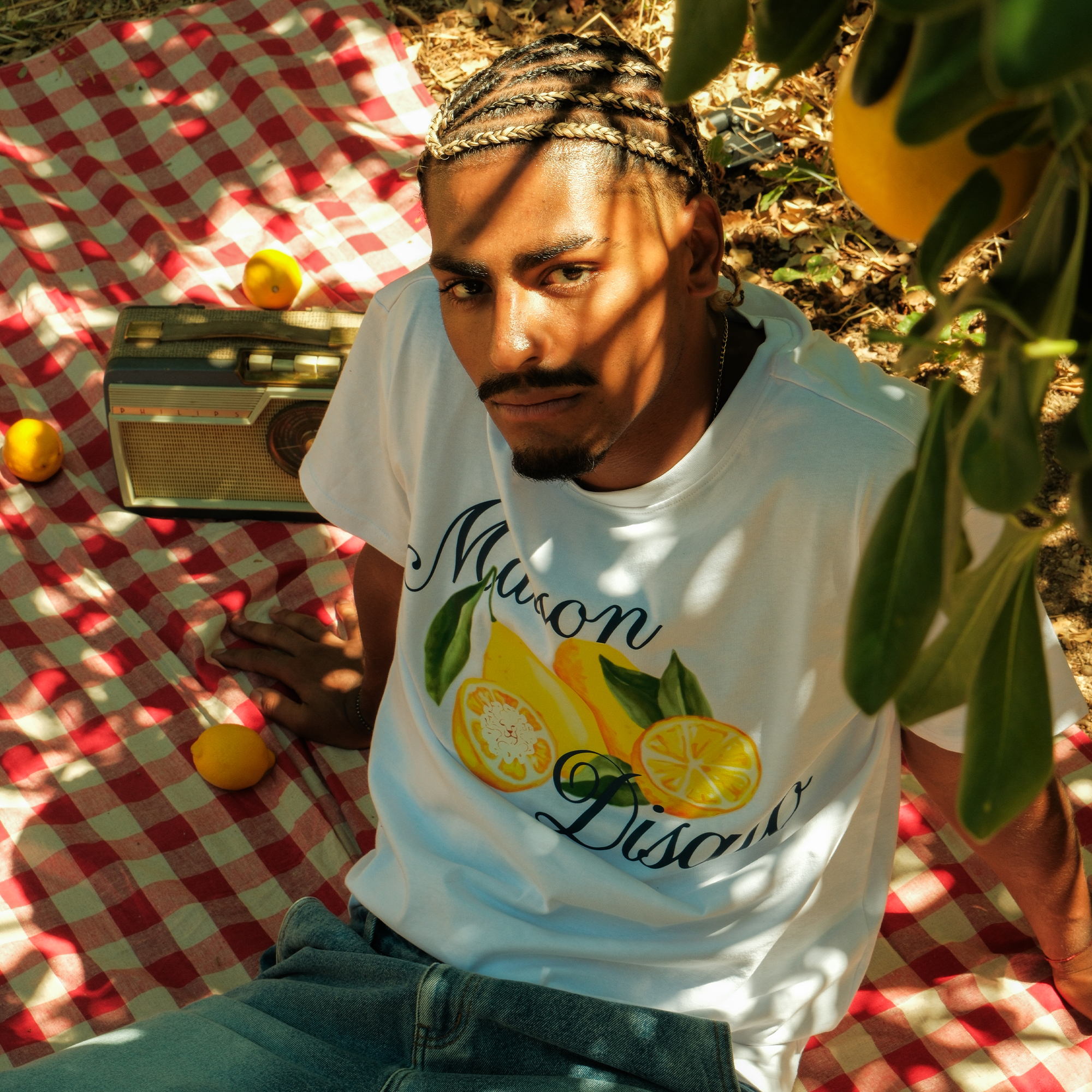 photo maison disato mozaiik